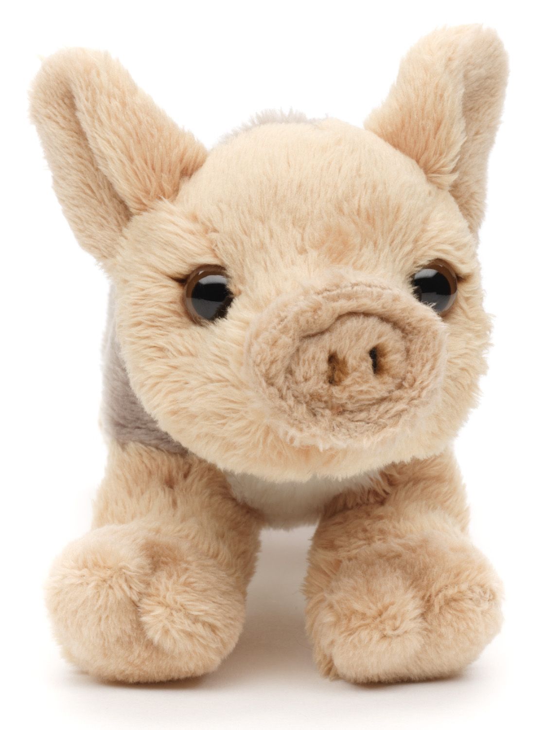 Uni-Toys Vildsvin Baby Bamse 15 cm L (WF015122), eco-friendly Sekundært billede