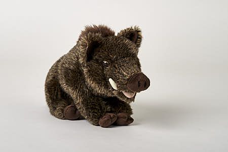 Vildsvin Bamse