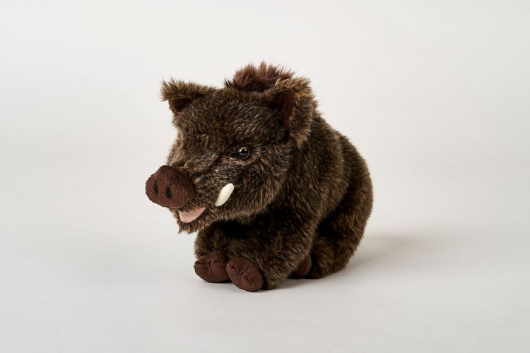Vildsvin Bamse