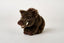 Vildsvin Bamse