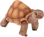 Ørkenskildpadde Bamse