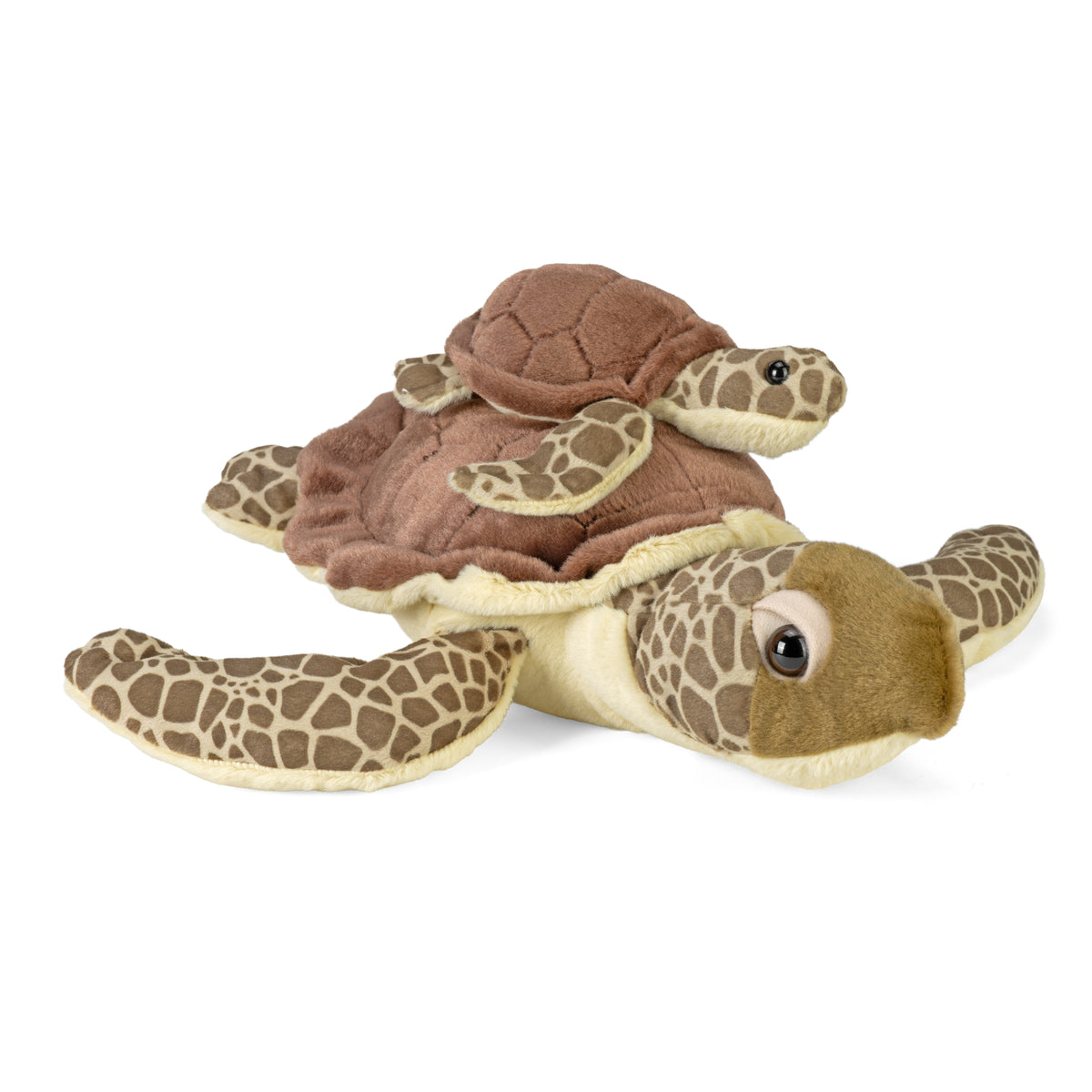Havskildpadde Bamse