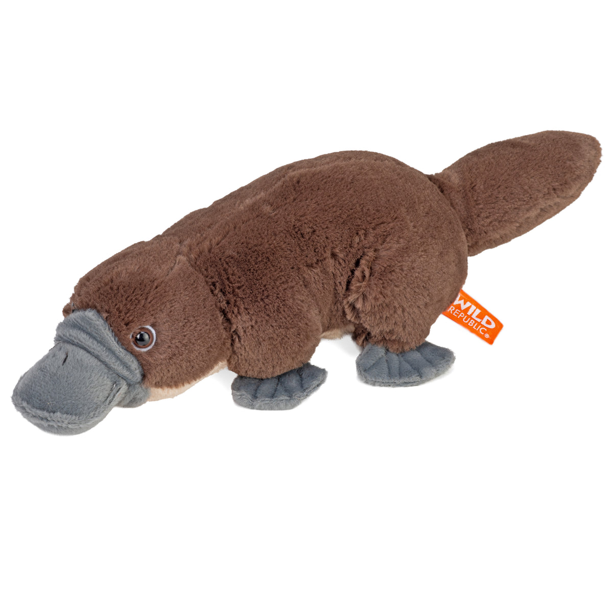 25157
