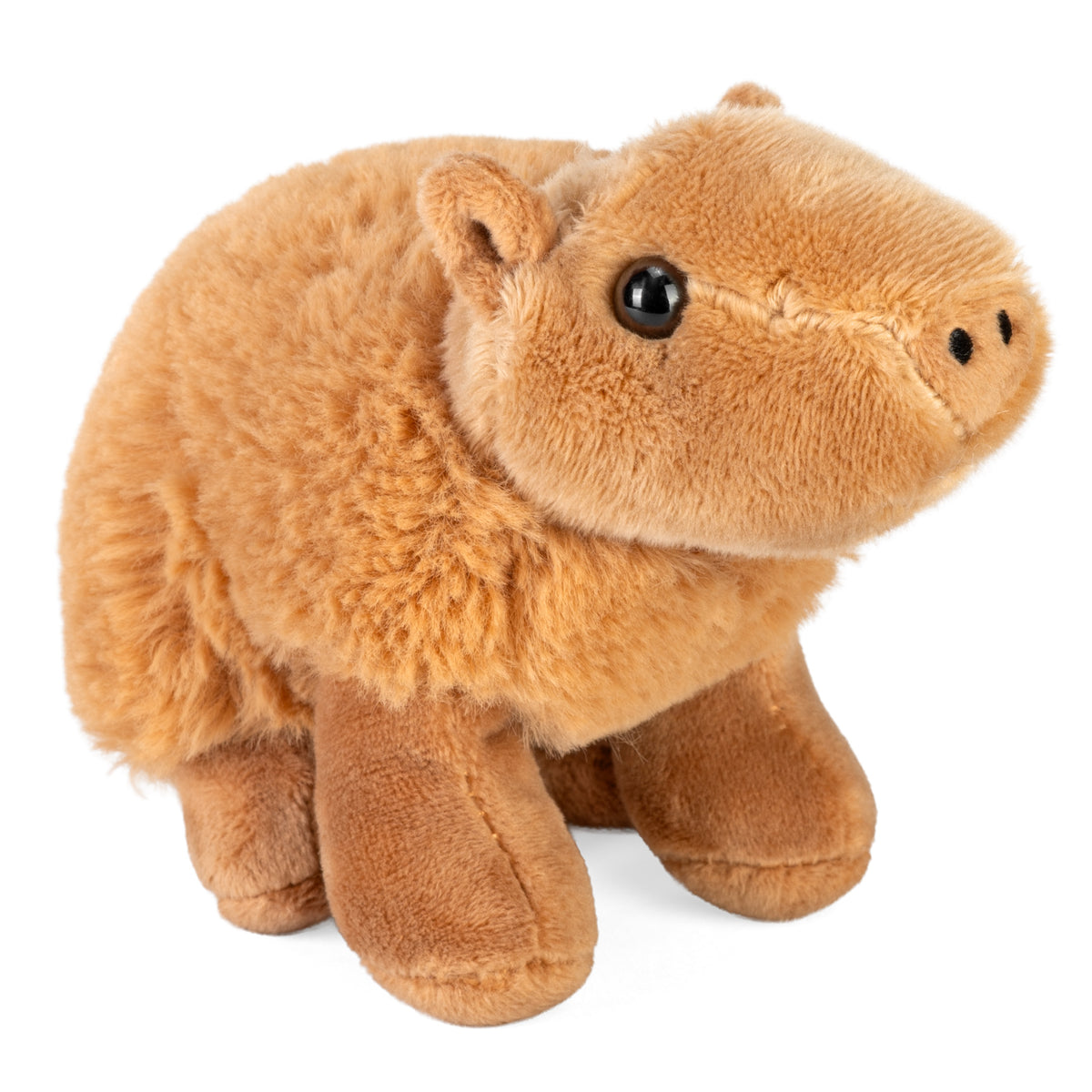 Kapivar Bamse Hovedbillede