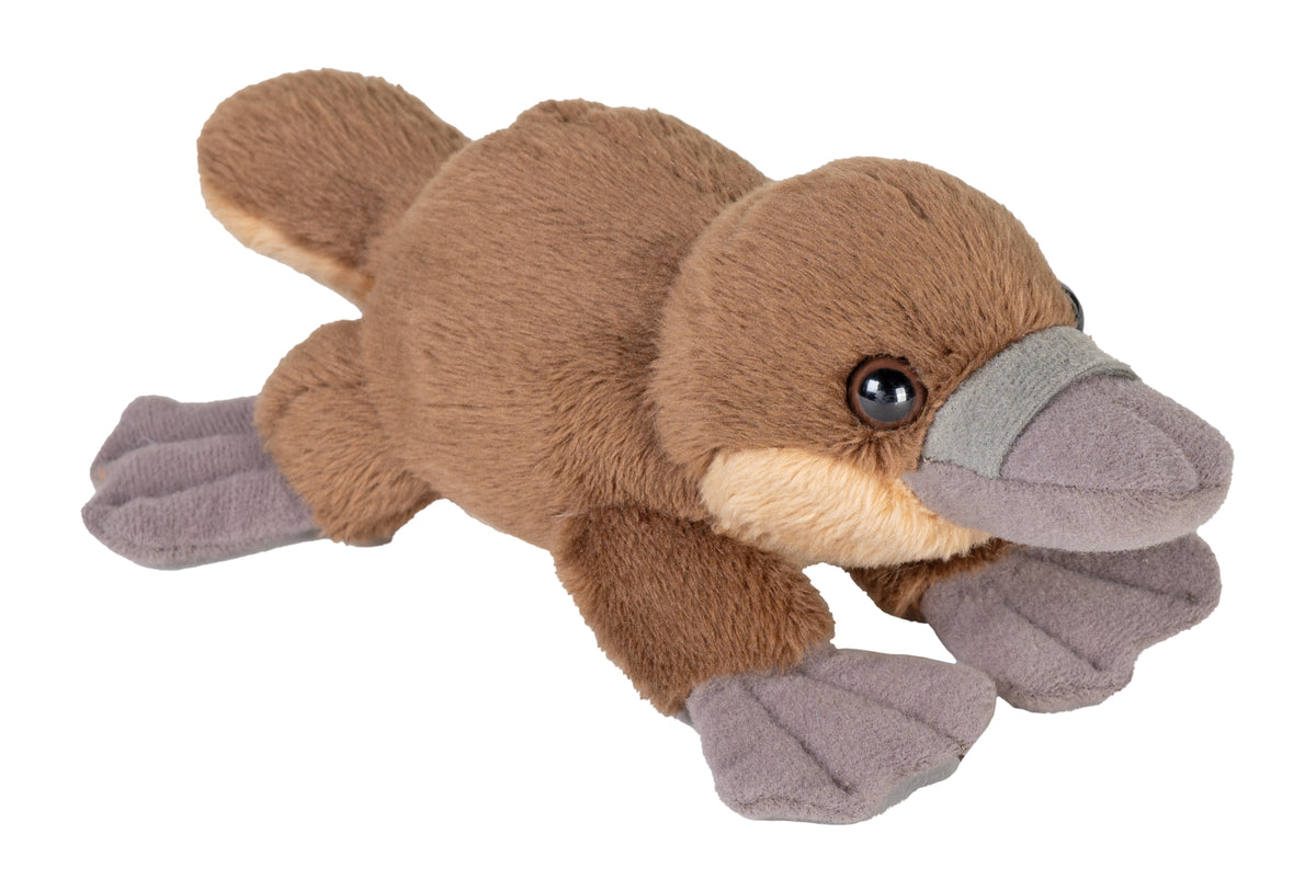 Næbdyr Bamse