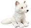 Polarræv Bamse