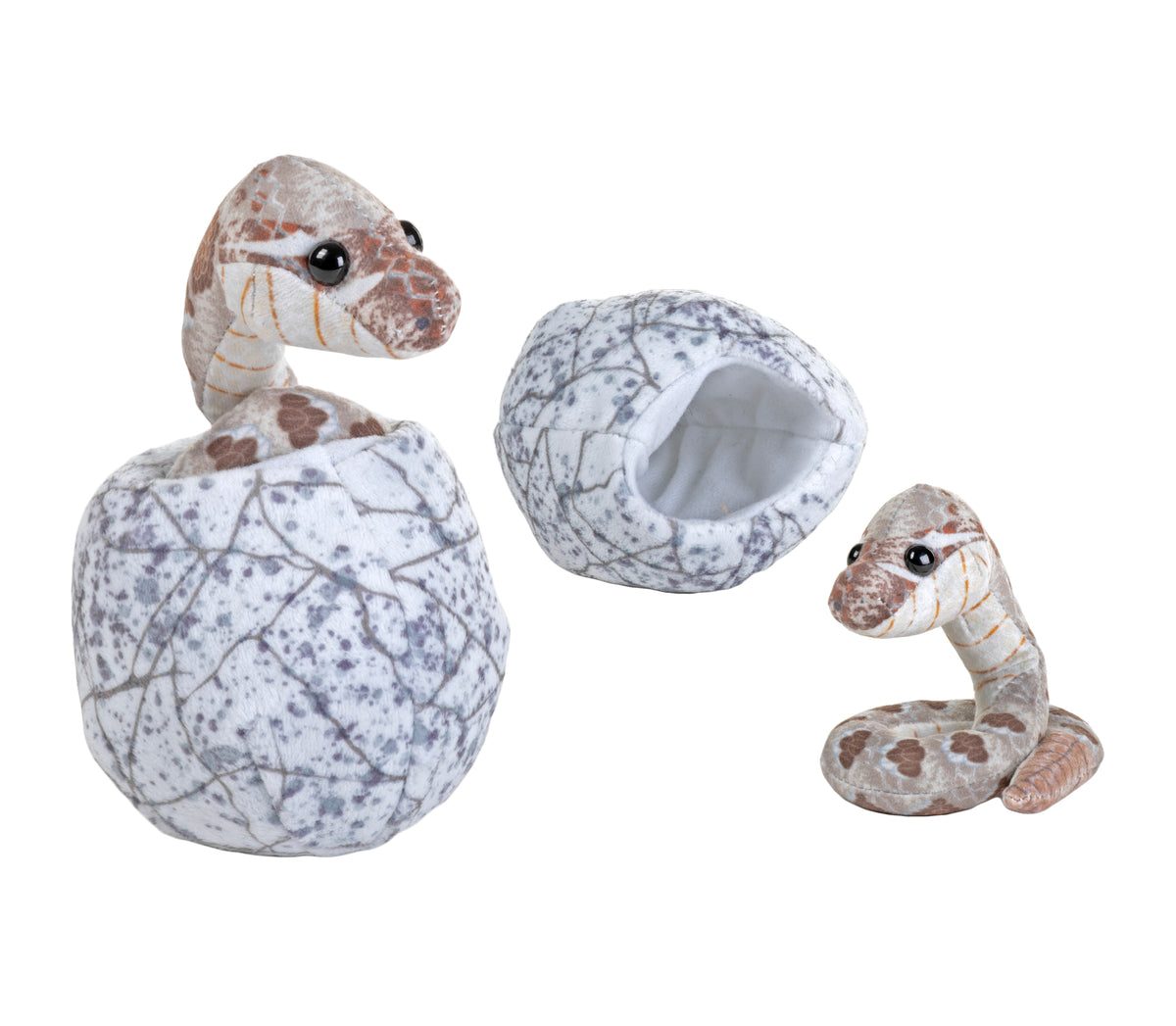 slange i æg Hovedbillede