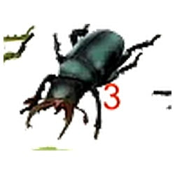 Keycraft Kæmpe Insekter Figurer (1 stk)