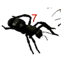 Keycraft Kæmpe Insekter Figurer (1 stk)