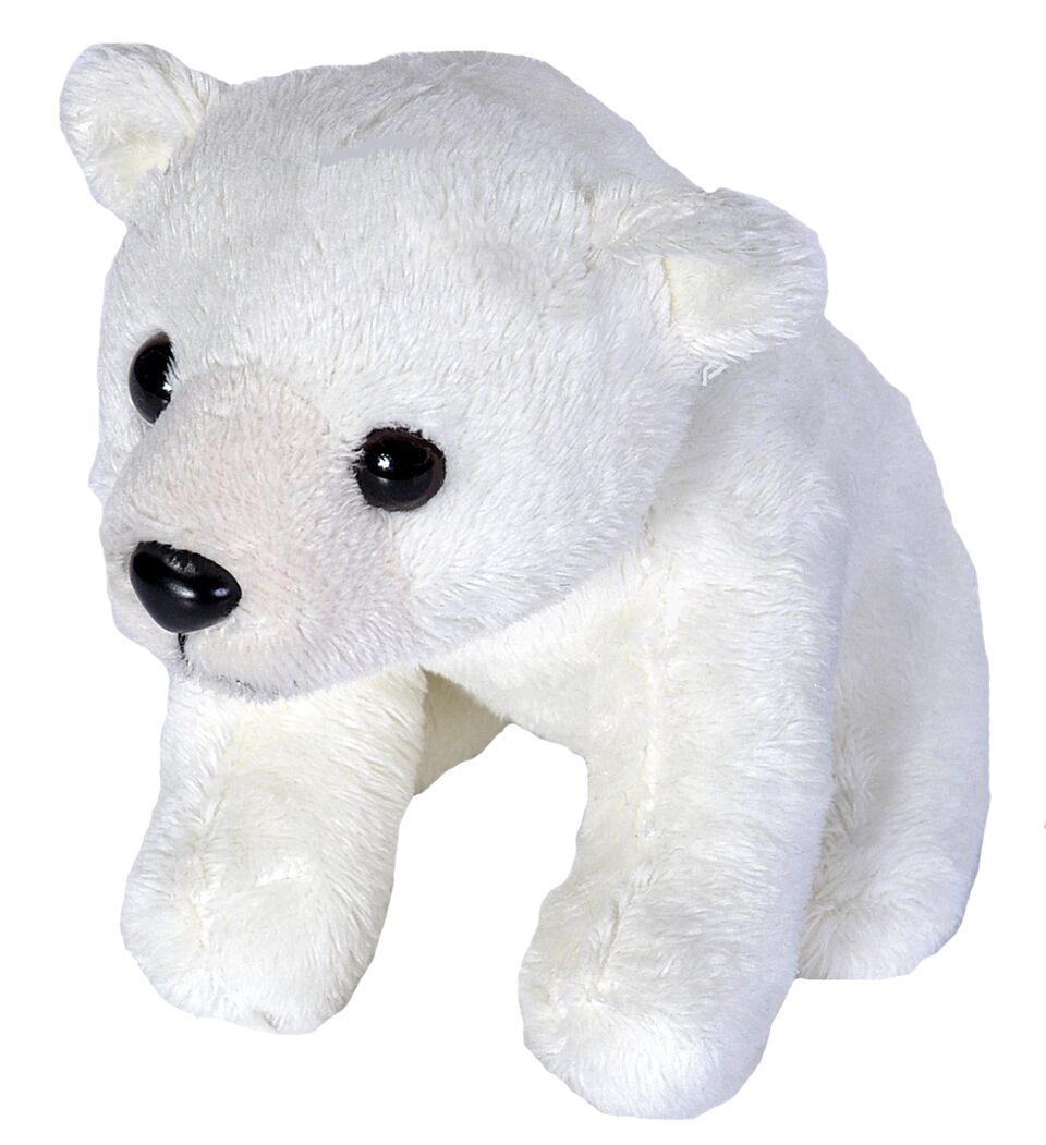 Wild Republic CK Lil’s Mini Isbjørn Bamse 13 cm Hovedbillede