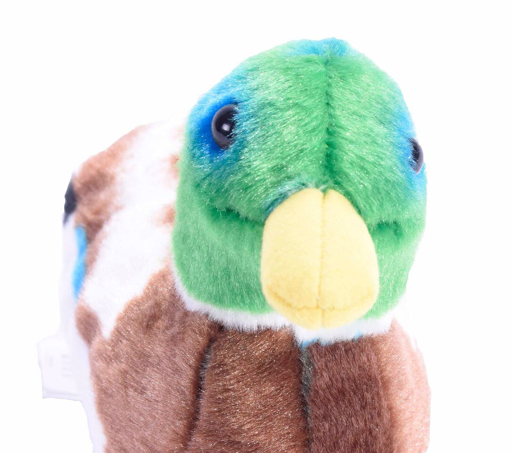 Wild Republic Gråand