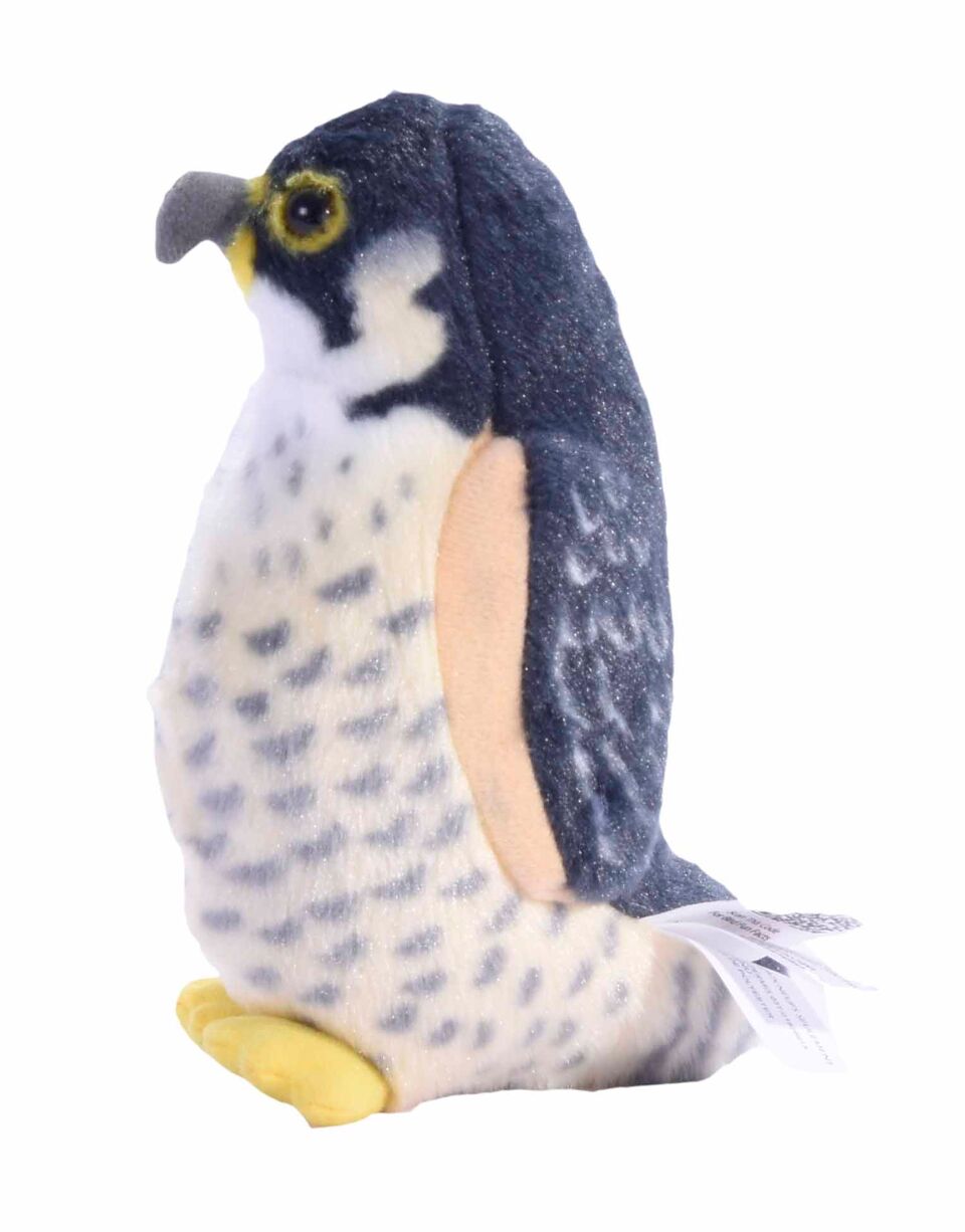 Wild Republic Vandrefalk Bamse - BB Euro Peregrine Falcon med realistiske fugle lyde Sekundært billede