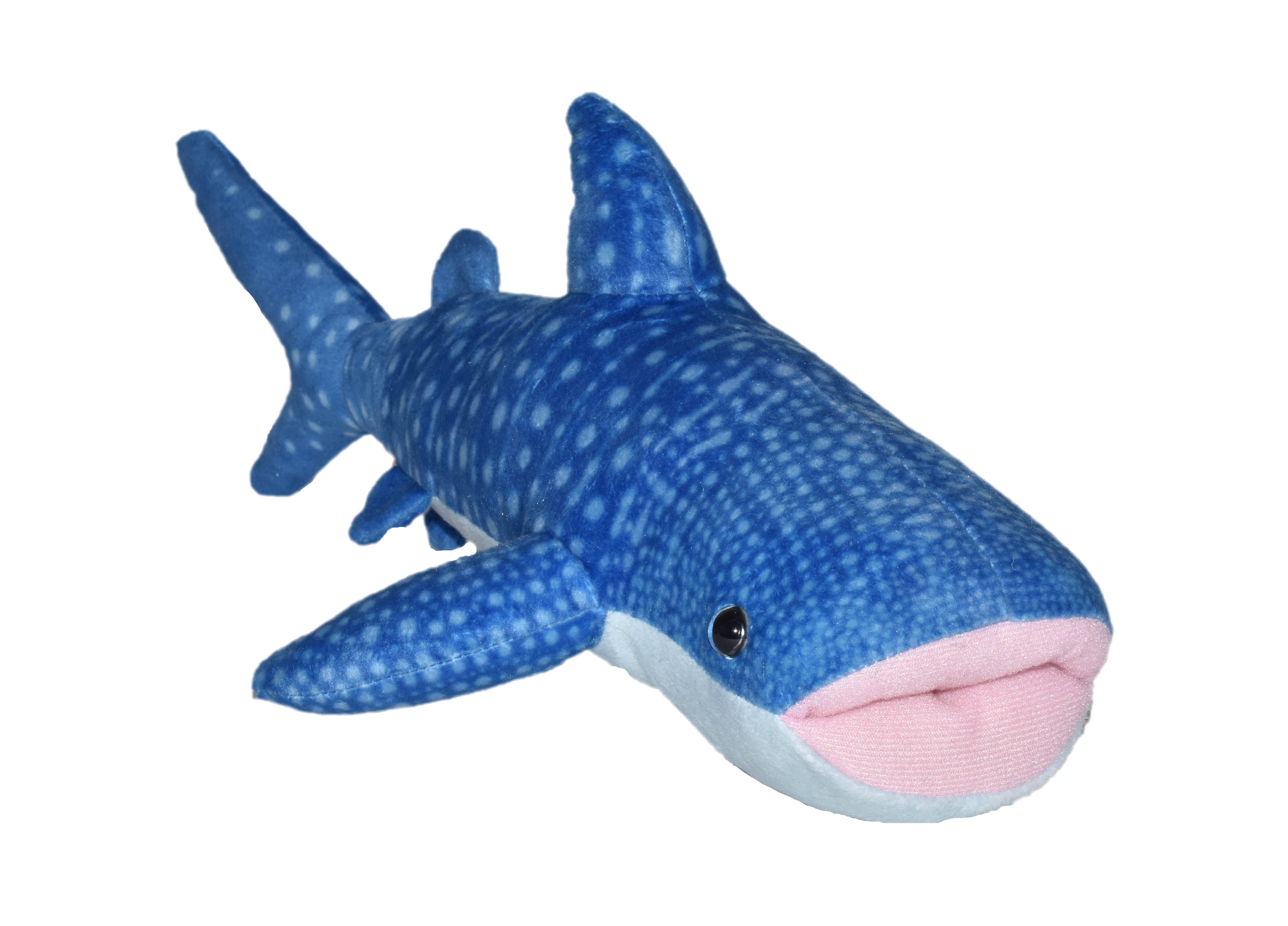 Hvalhaj Bamse  Hovedbillede