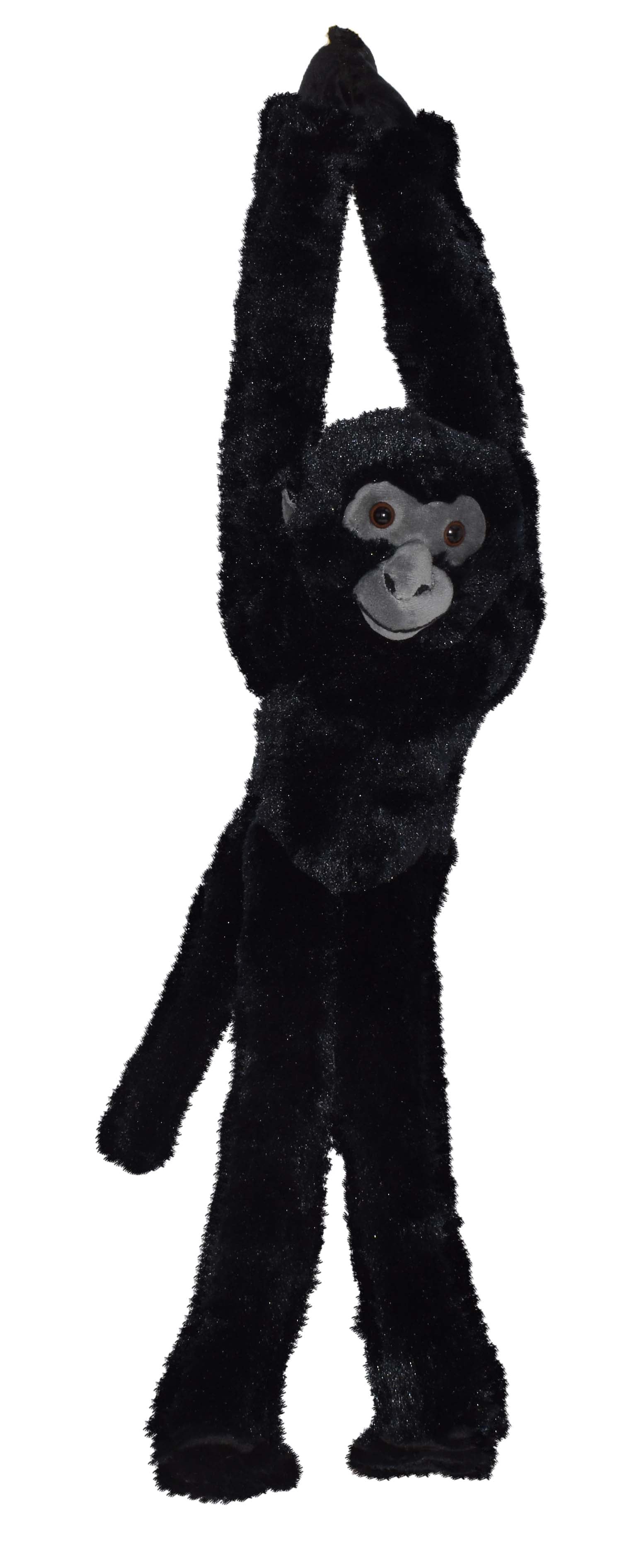Wild Republic Hængende Edderkop Abe Bamse - Hanging Spider Monkey 55 cm Hovedbillede