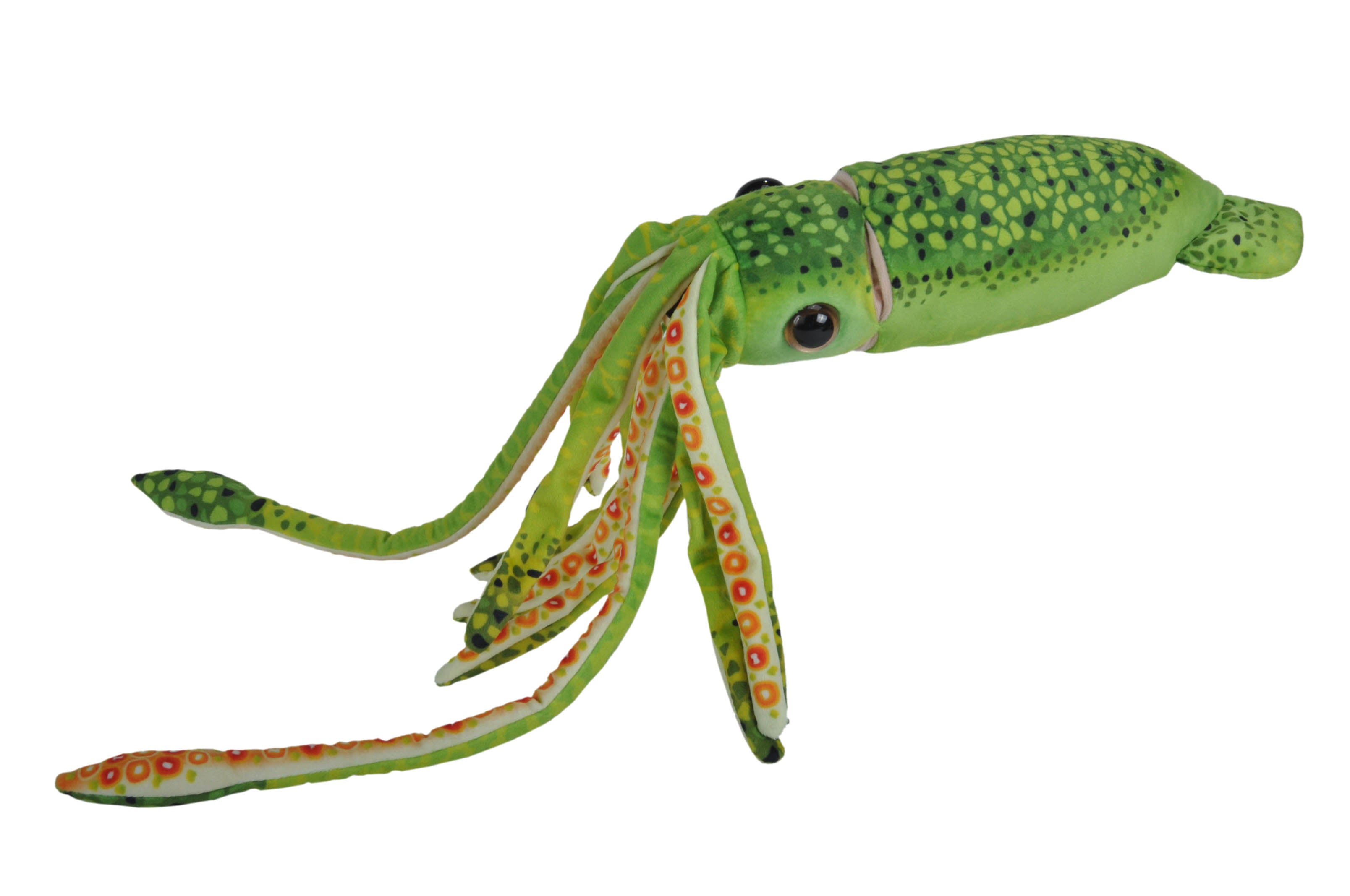 Blæksprutte Bamse  Hovedbillede