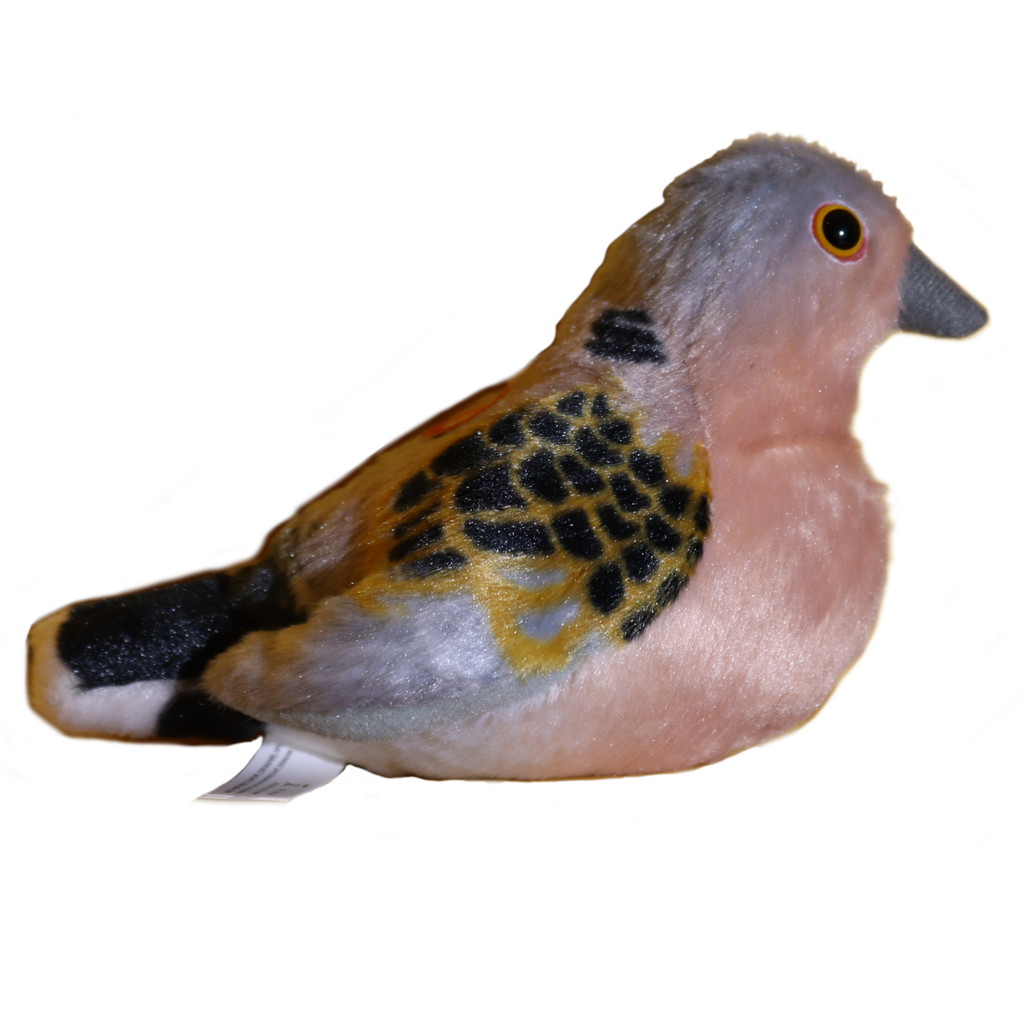 turteldue plysdyr