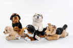 Uni-Toys Berner Sennenhund Bamse 25 cm (32233A)