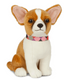 Chihuahua bamse