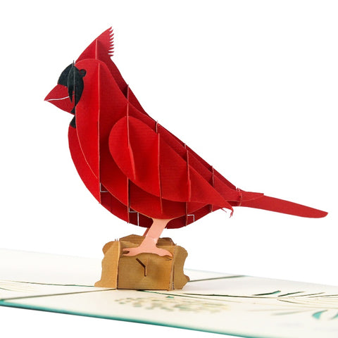 3D fødselsdagskort fugl