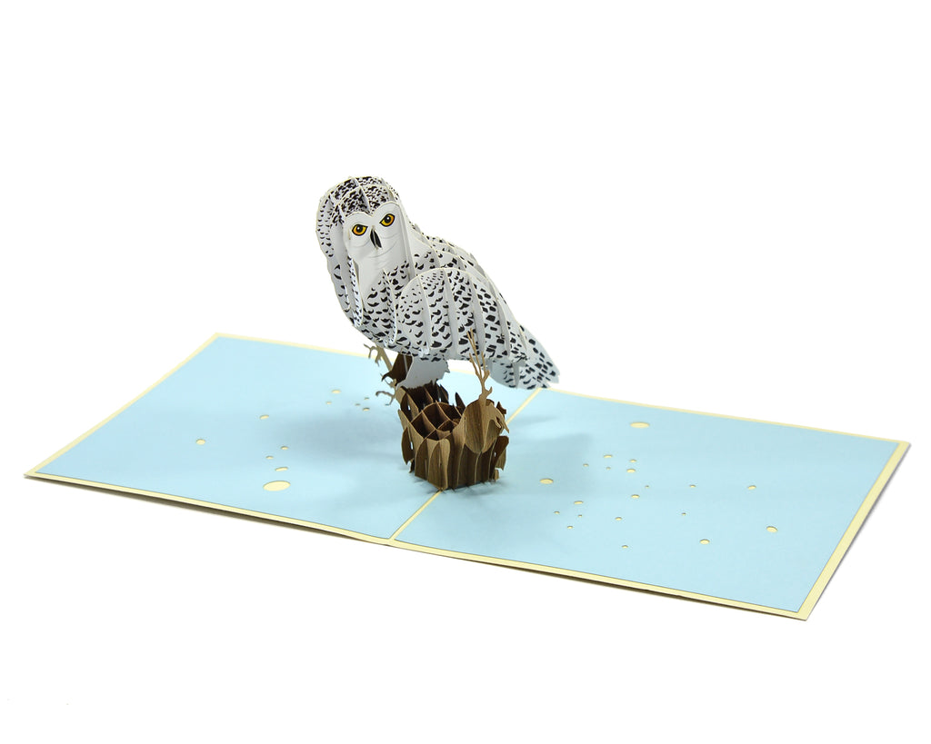 fødselsdagskort sneugle