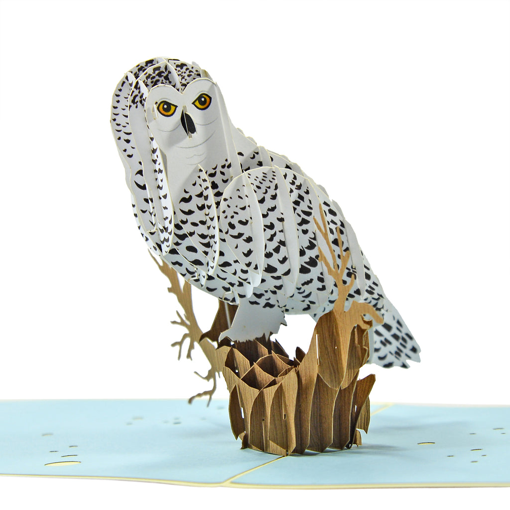 fødselsdagskort sneugle