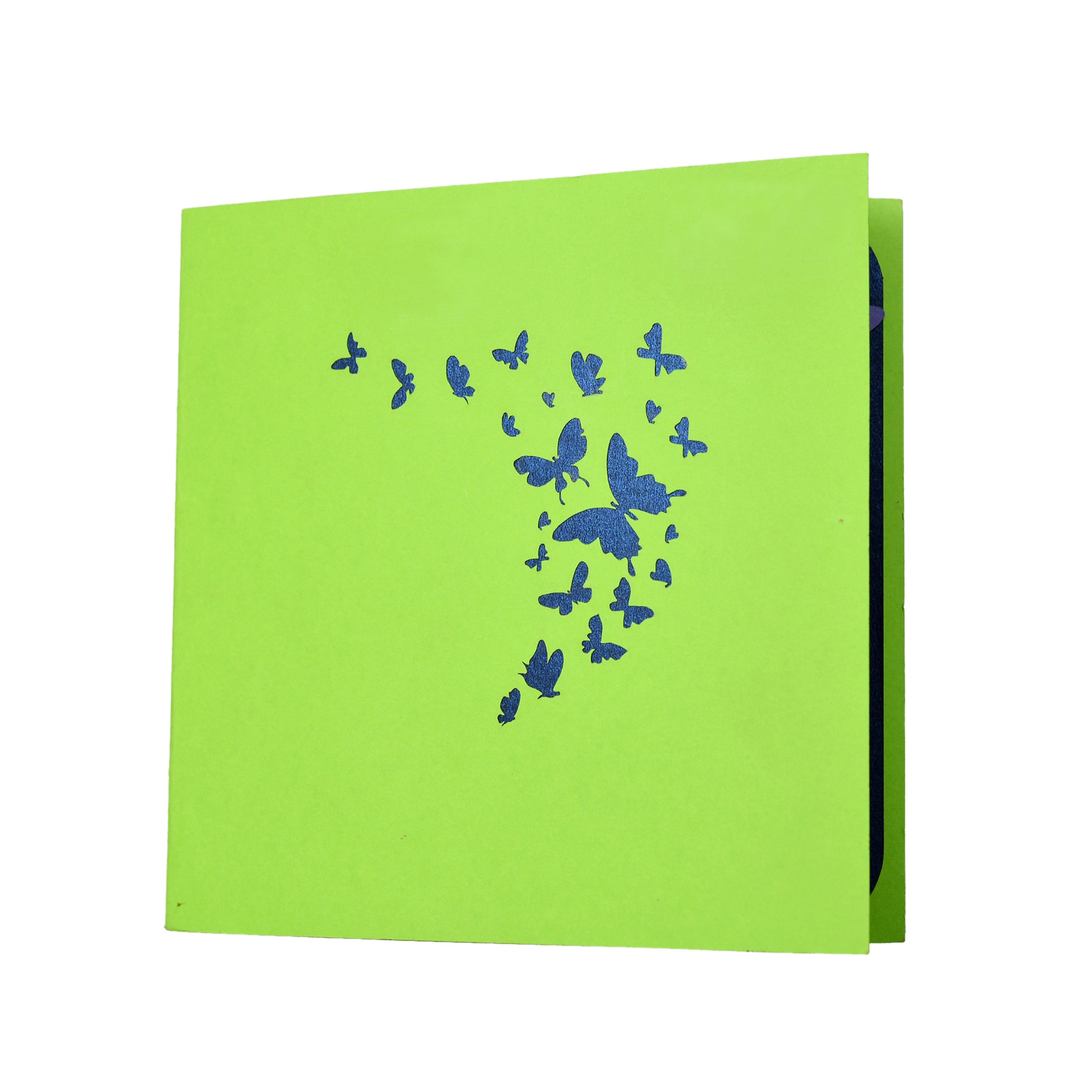 fødselsdagskort sommerfugl