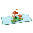 3D Popup Kort Flamingo