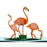 3D Popup Kort Flamingo