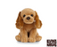 Cockerspaniel bamse