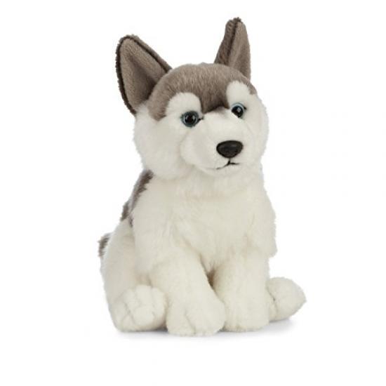 Husky bamse 
