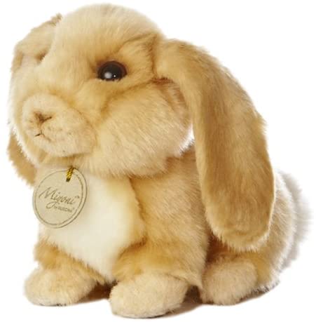 Kanin med hængeører Hovedbillede