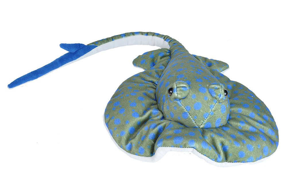 Wild Republic Blå Rokke Bamse - CK Blue Spotted Ray Hovedbillede