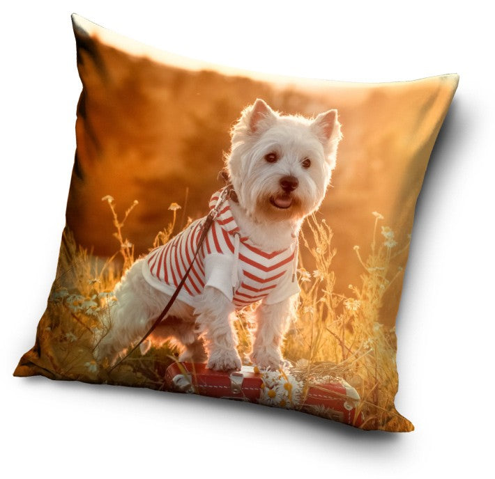 Dekorativt Pudebetræk 40x40 cm - Hund Design (CBX201042PNL)