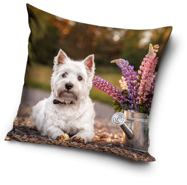 Dekorativt Pudebetræk 40x40 cm - Hund Design (CBX201045PNL) Hovedbillede