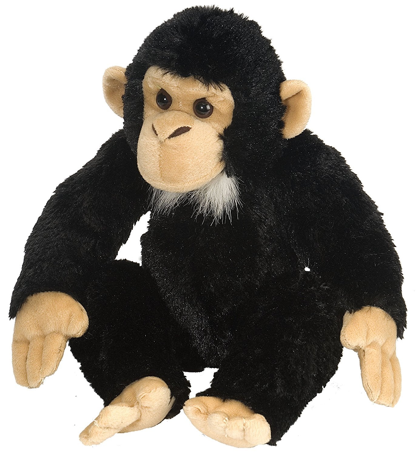 Chimpanse Bamse 