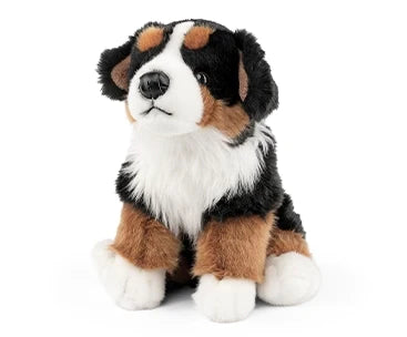 Berner Sennenhund bamse