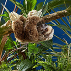 Living Nature Dovendyr Bamse 24 cm (medium)