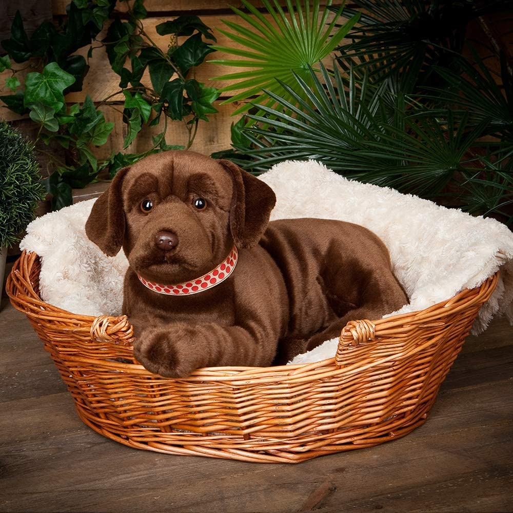 Labrador krammebamse