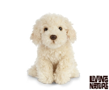 Labradoodle bamse