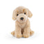 Labrador retriever bamse