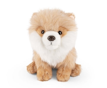 Pomeranian bamse Hovedbillede