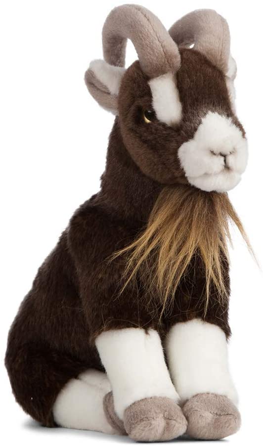 Ged bamse Hovedbillede