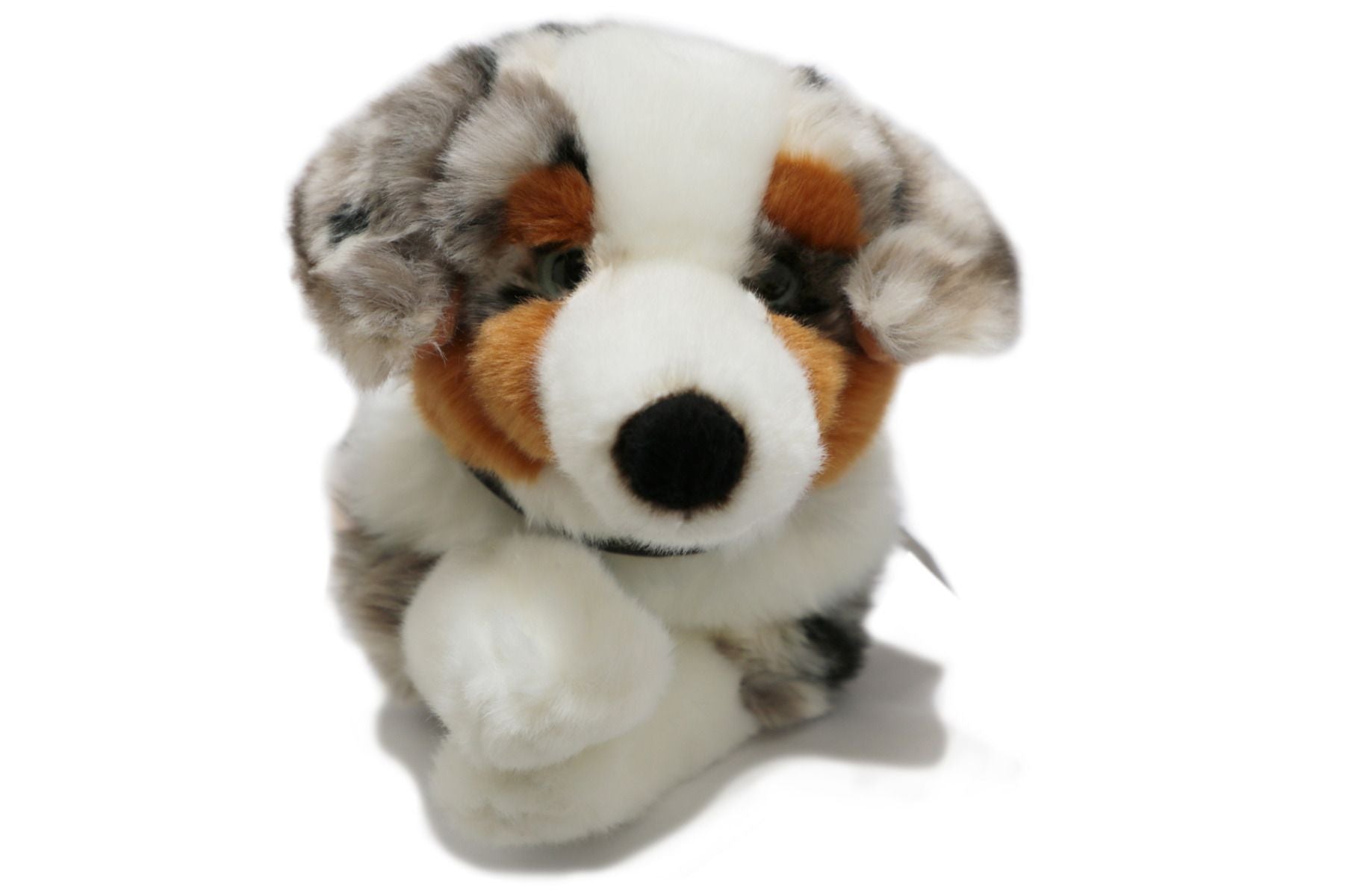 Uni-Toys Australian Shepherd Hund 40 cm