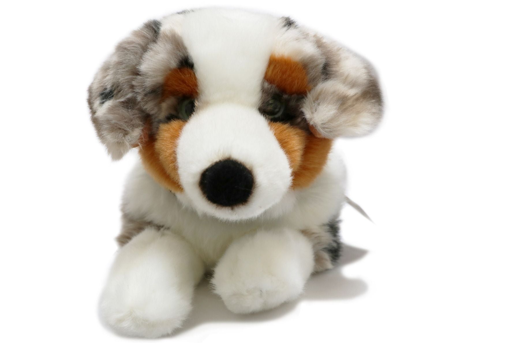 Uni-Toys Australian Shepherd Hund 40 cm Hovedbillede