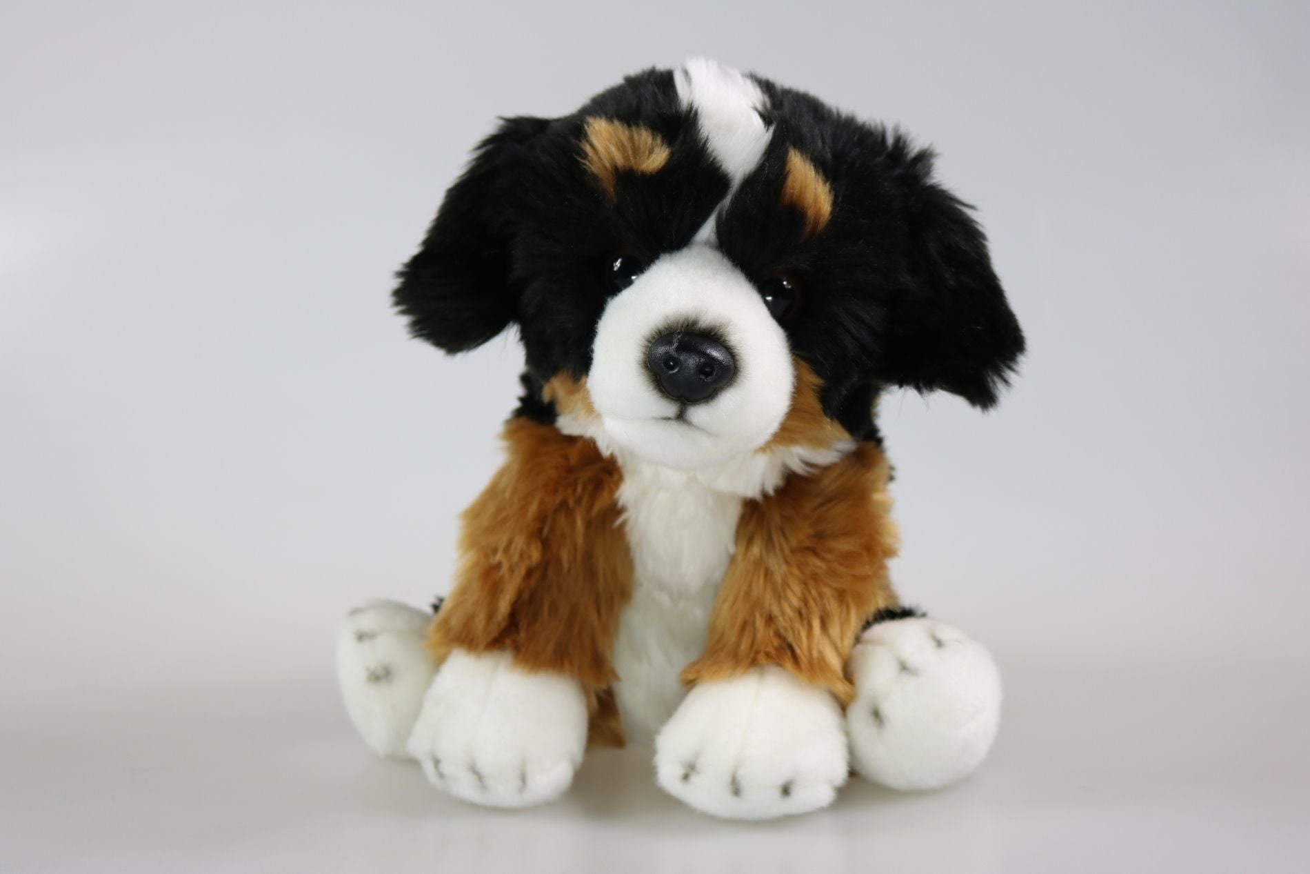 Berner Sennenhund bamse Hovedbillede