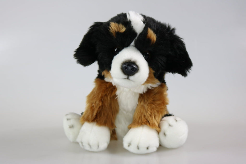 Berner Sennenhund bamse