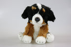 Berner Sennenhund bamse
