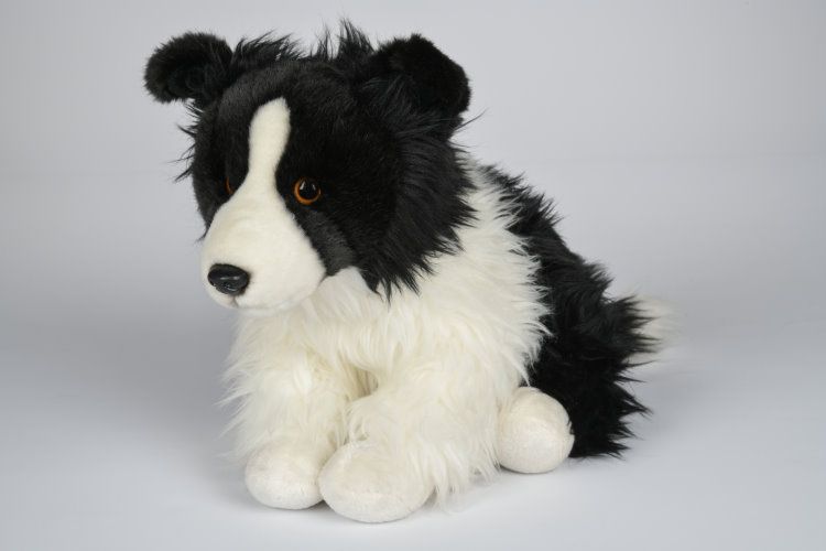 Border Collie bamse