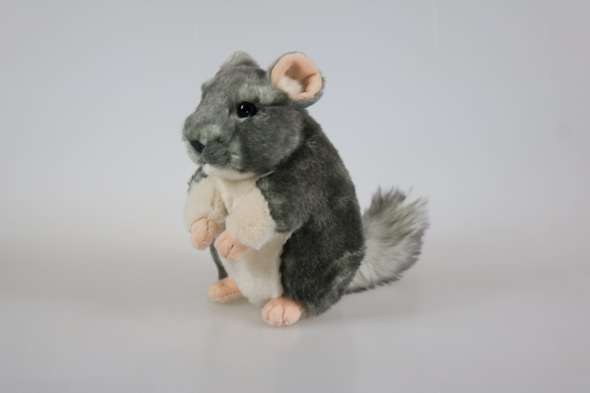 Chinchilla bamse
