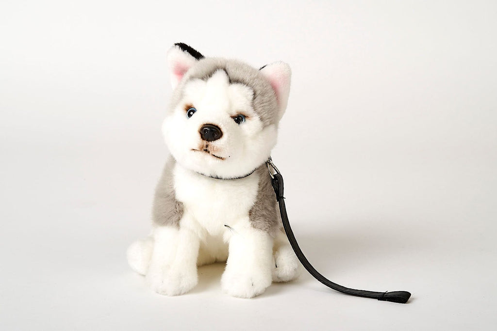 Husky Hund bamse